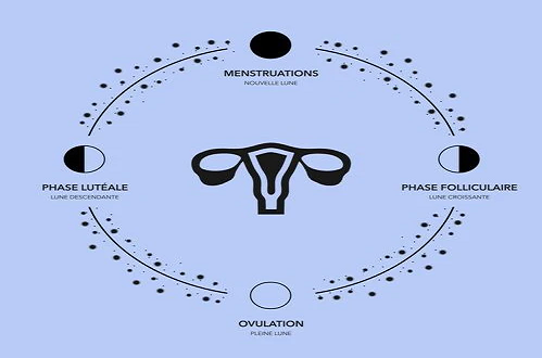 Cycle lunaire et cycle menstruel