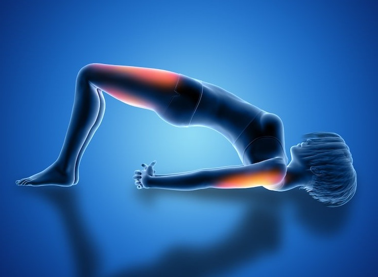 Mobilité Articulaire